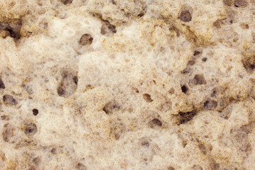 dirty white foam on a sea water surface