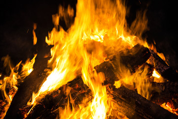 Firewood burning in the fire. Burning fire.