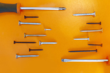screwdrivers and screws on a colored background