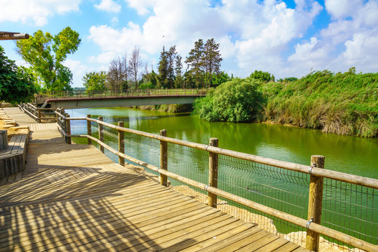 Nahal Alexander Nature Reserve