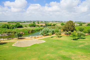 Nahal Alexander Nature Reserve