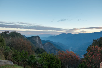 Nature background in Alishan National Park, Taiwan on a wet and foggy morning