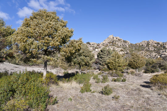Los Torreones en Las Cabreras. Madrid.