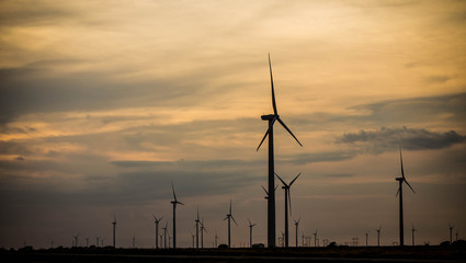 wind farm