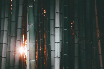 Foto auf Glas bamboo forest in Kyoto © Sebastian