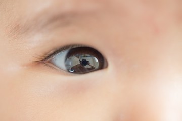 赤ちゃんの目