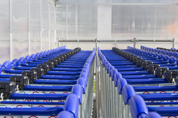 Fototapeta premium Luggage car rows under a shelter at an airport in Memmingen