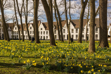 Fototapeta premium Garden of Beguinage at Bruges