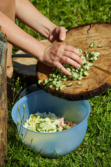 The process of cooking salad in nature. A saucepan with sliced vegetables as an ingredient for a salad or soup.