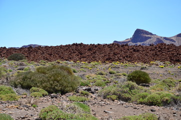 Teneriffa 2018