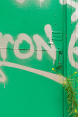 Old unused metal door, green with graffiti