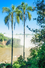 Iguassu National Park