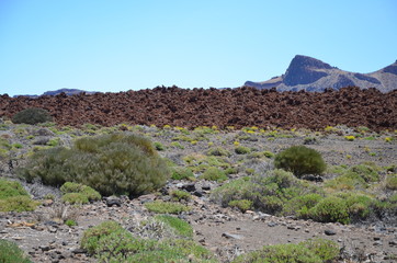 Teneriffa 2018