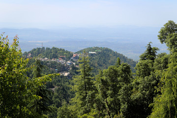 Fototapeta na wymiar McLeod Ganj, Upper Dharamsala, Himachal Pradesh, India, Asia