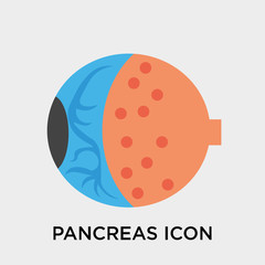 Pancreas icon vector sign and symbol isolated on white background, Pancreas logo concept