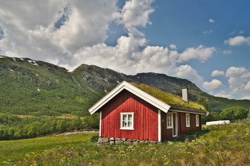 Fototapeta na wymiar Scenic traditional wooden scandinavian house in Norway