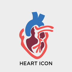 Heart icon vector sign and symbol isolated on white background, Heart logo concept