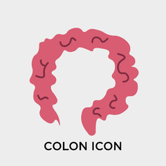 Colon icon vector sign and symbol isolated on white background, Colon logo concept