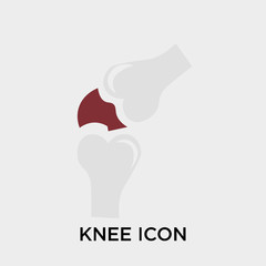 Knee icon vector sign and symbol isolated on white background, Knee logo concept