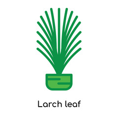 Larch leaf icon vector sign and symbol isolated on white background, Larch leaf logo concept