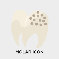 Molar icon vector sign and symbol isolated on white background, Molar logo concept