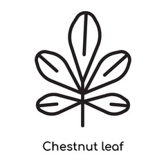 Chestnut leaf icon vector sign and symbol isolated on white background, Chestnut leaf logo concept