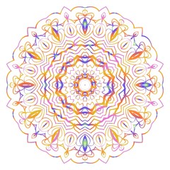Beautiful Mandala. Vintage decorative elements. Hand drawn background. vector illustration.