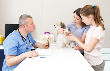 Concerned family with dog consulting by veterinarian