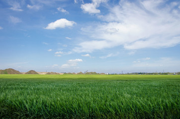 view of the industrial quarry and field with green wheat
