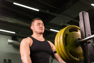 Handsome Muscular Man in gym