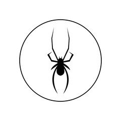 Spider icon, logo