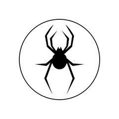 Spider icon, logo