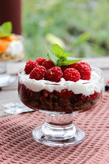 Dessert cups of Pecheneg, cottage cheese, raspberry, and apricot