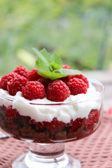 Dessert cups of Pecheneg, cottage cheese, raspberry, and apricot
