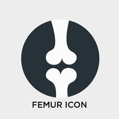 Femur icon vector sign and symbol isolated on white background, Femur logo concept