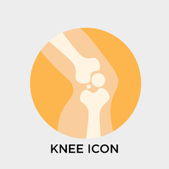 Knee icon vector sign and symbol isolated on white background, Knee logo concept