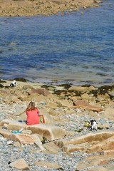 Fototapeta na wymiar Une femme assise sur un rocher qui regarde ses chien jouer sur une plage