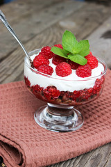 Dessert cups of Pecheneg, cottage cheese, raspberry, and apricot