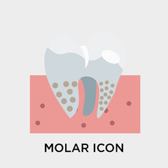 Molar icon vector sign and symbol isolated on white background, Molar logo concept