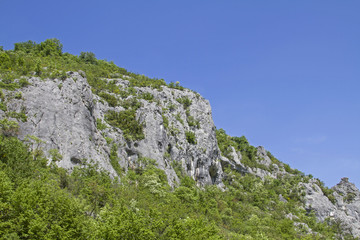 KlettergartenBuzet im Mirnatal