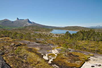 Scenic green landscape of Norway during summer time