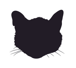 Cat silhouette, vector