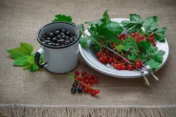 Rustic still life of ripe red and black currant with a leaf in a rustic plate and mug on the background of sacks, useful food and vitamins