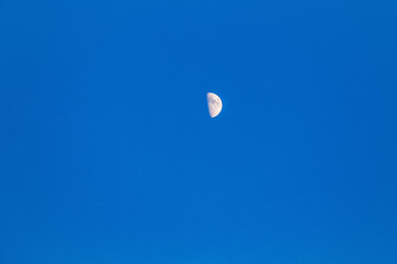 The moon on a clean blue sky in a bright evening_
