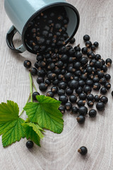 Rustic still life ripe black currant with leaves in a rustic enamel mug on a wooden background, useful food and vitamins