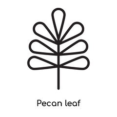 Pecan leaf icon vector sign and symbol isolated on white background, Pecan leaf logo concept