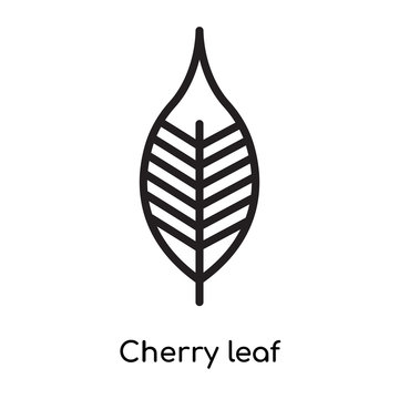 Cherry leaf icon vector sign and symbol isolated on white background, Cherry leaf logo concept