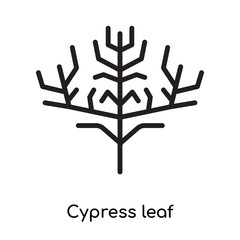 Cypress leaf icon vector sign and symbol isolated on white background, Cypress leaf logo concept