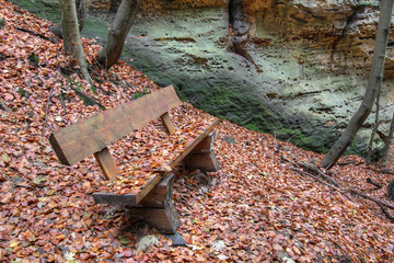 Bench covered in fallen leaves