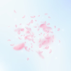 Fototapeta na wymiar Sakura petals falling down. Romantic pink flowers explosion. Flying petals on blue sky square backgr